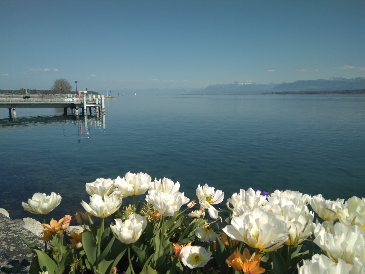 Хаузбот Женевское озеро