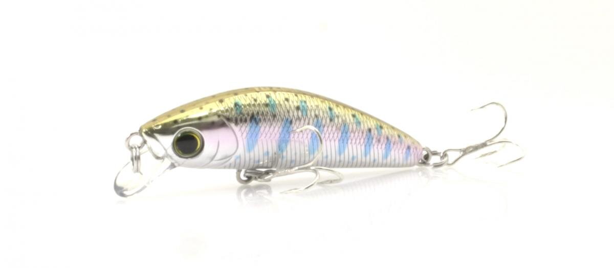 фото из свободного доступа.