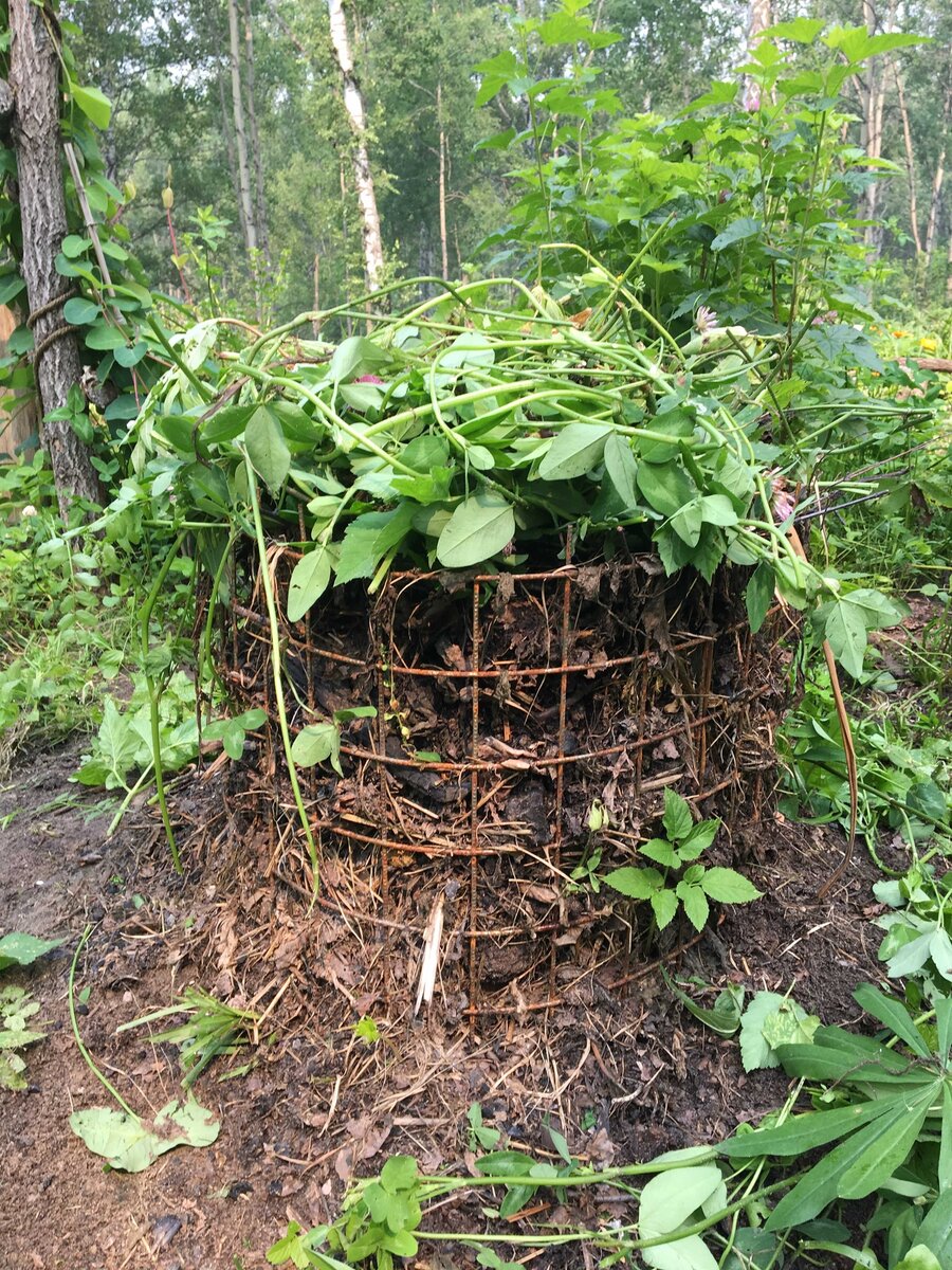 Высокая клумба на пне - красота и необходимость