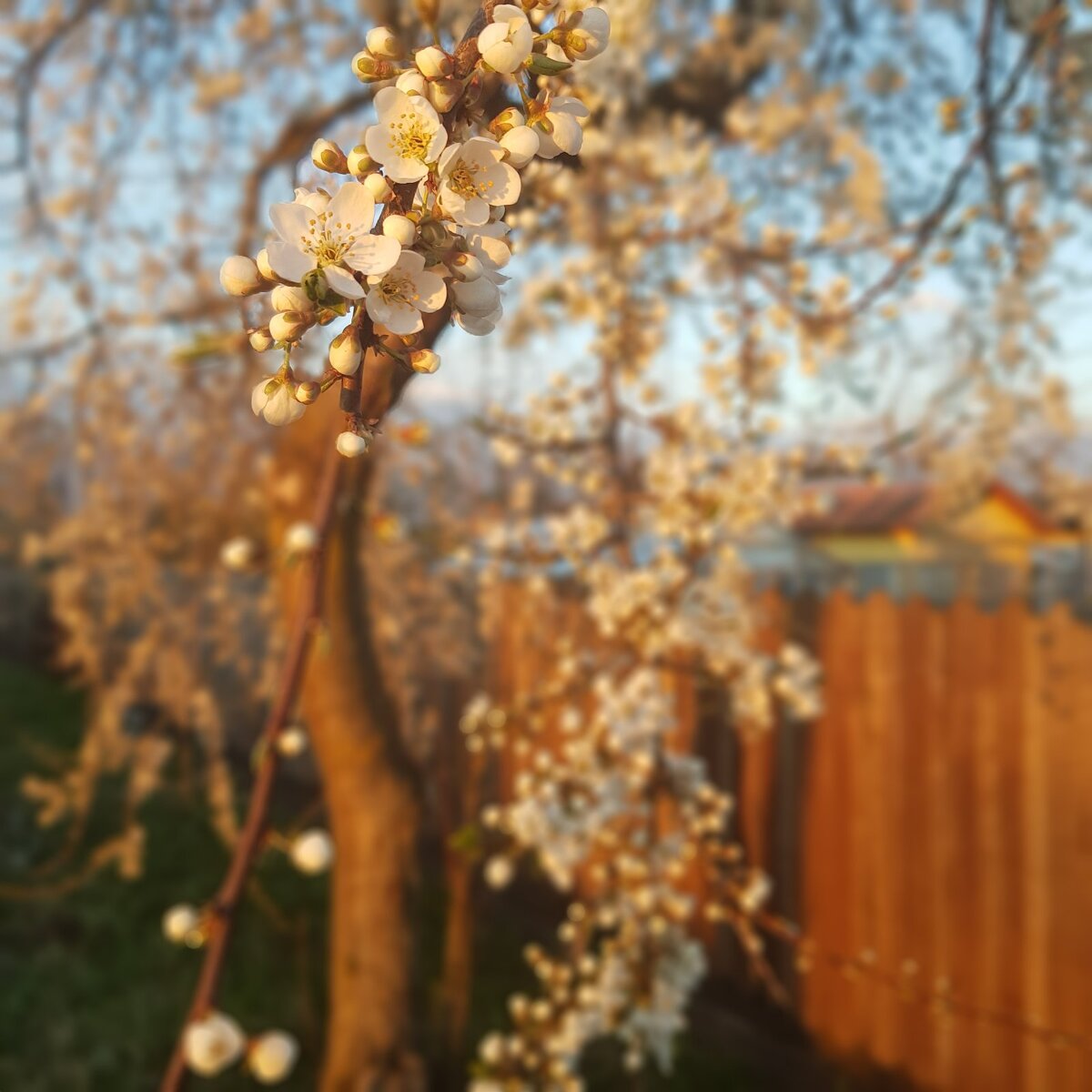 Организм женщины нежен, как первые весенние цветы. Берегите его и заботьтесь