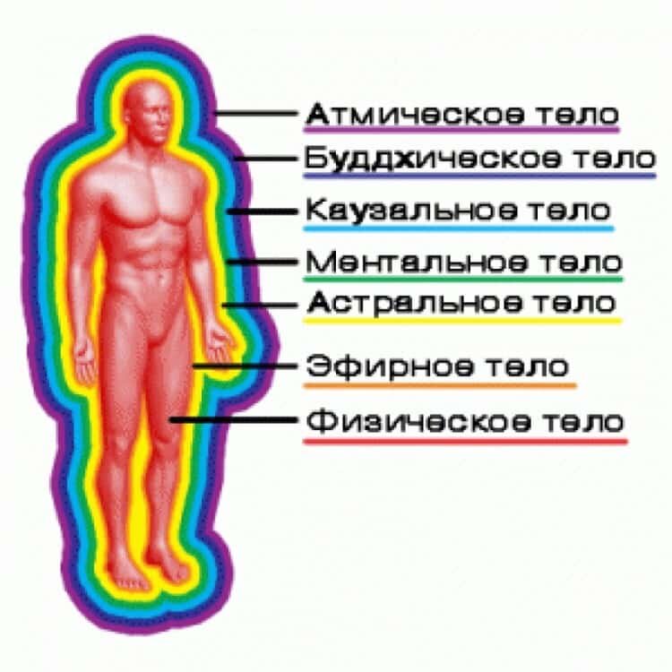 Тела тела тела дата выхода. Строение тонких тел человека. Тонкие тела человека их формы и строение. Строение энергетические тела Аура человека. Тело человека физическое эфирное астральное.