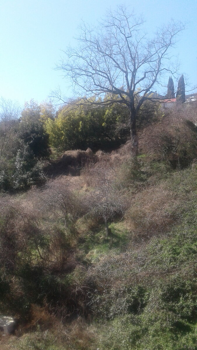 вид с балкона.