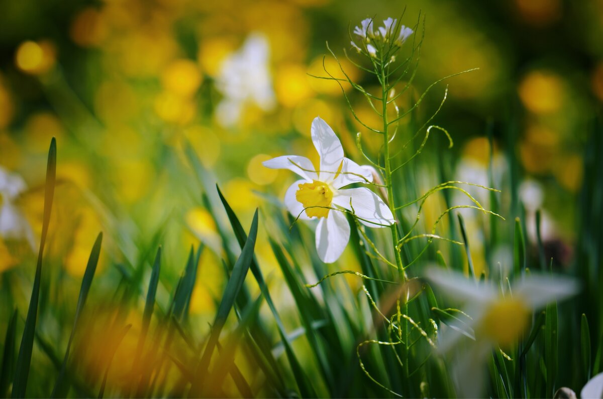 Кавказский скит Валаама 