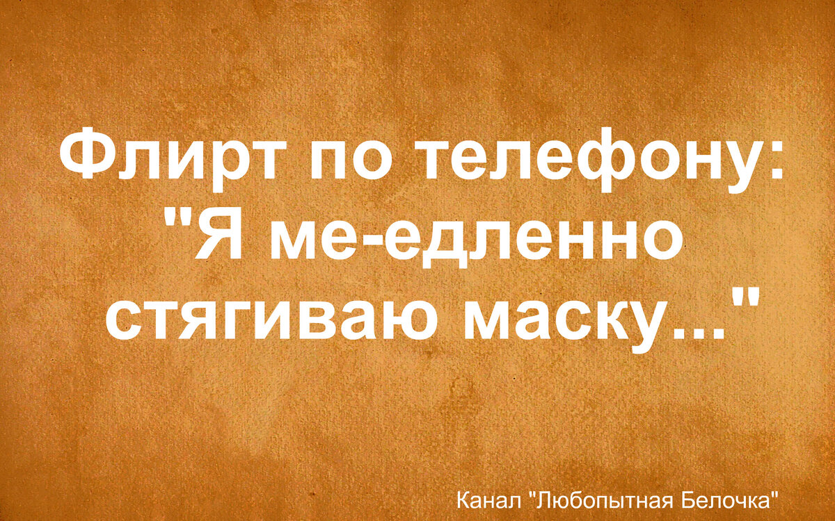 Товарищи! Крепитесь, скоро лето! Юморная подборка | Любопытная Белочка |  Дзен