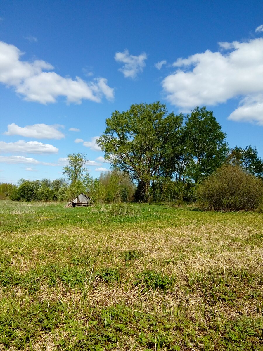 Ещё одна банька