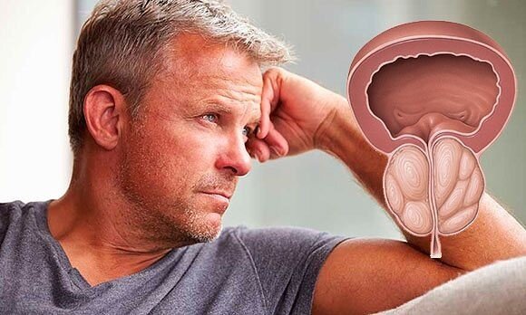 Фото взято с сайта Яндекс картинки 