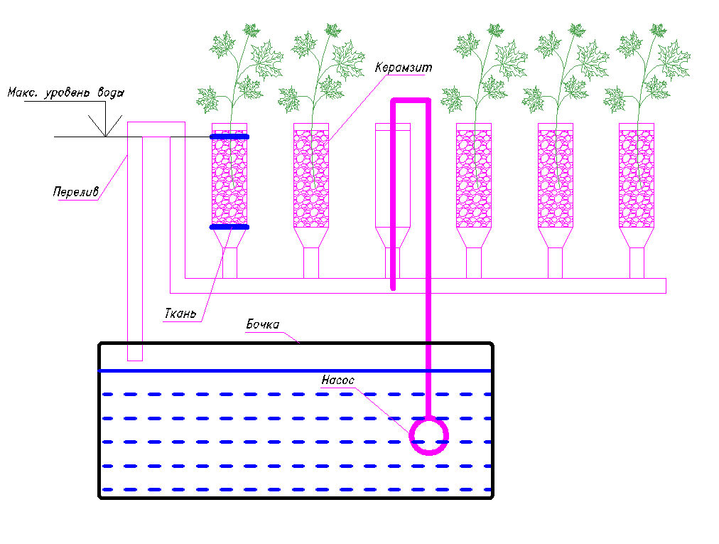 Гидропоника в домашних условиях зелень своими руками схема