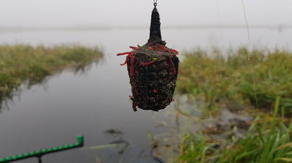 Ловля на фидер леща осенью — кормушка с прикормкой и мотылем 