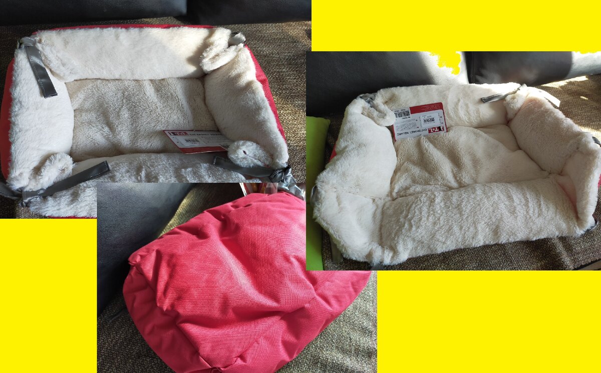 Вот этот лежак катался на мне по всем комнатам)))