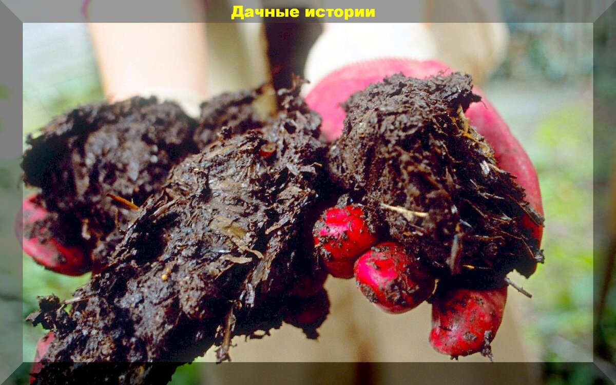 https://vk.com/photo-159774511_457244381
