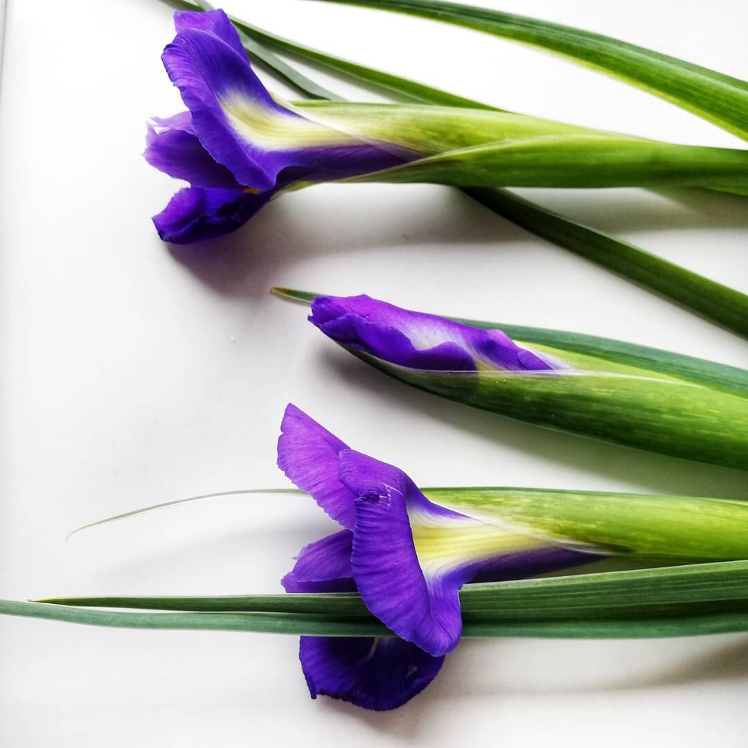 фото из личного архива