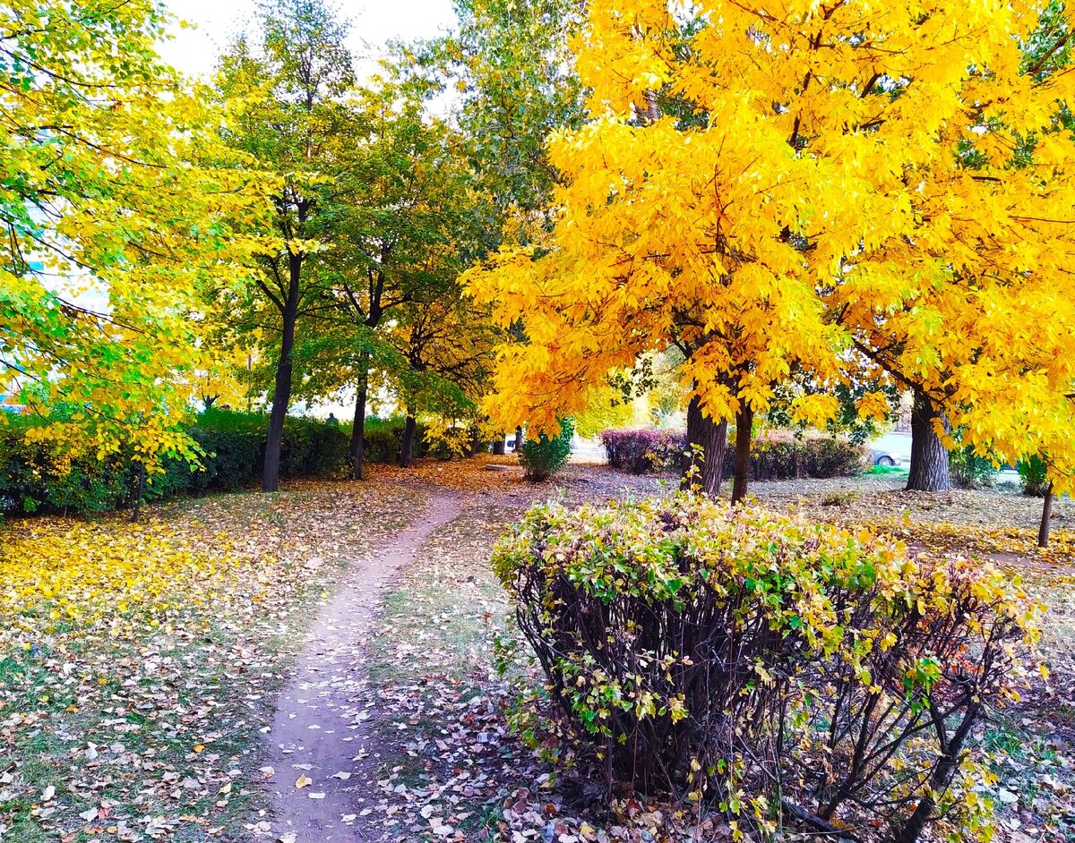 Какая же на улице благодать: и красиво 🍁, и тепло ☀️