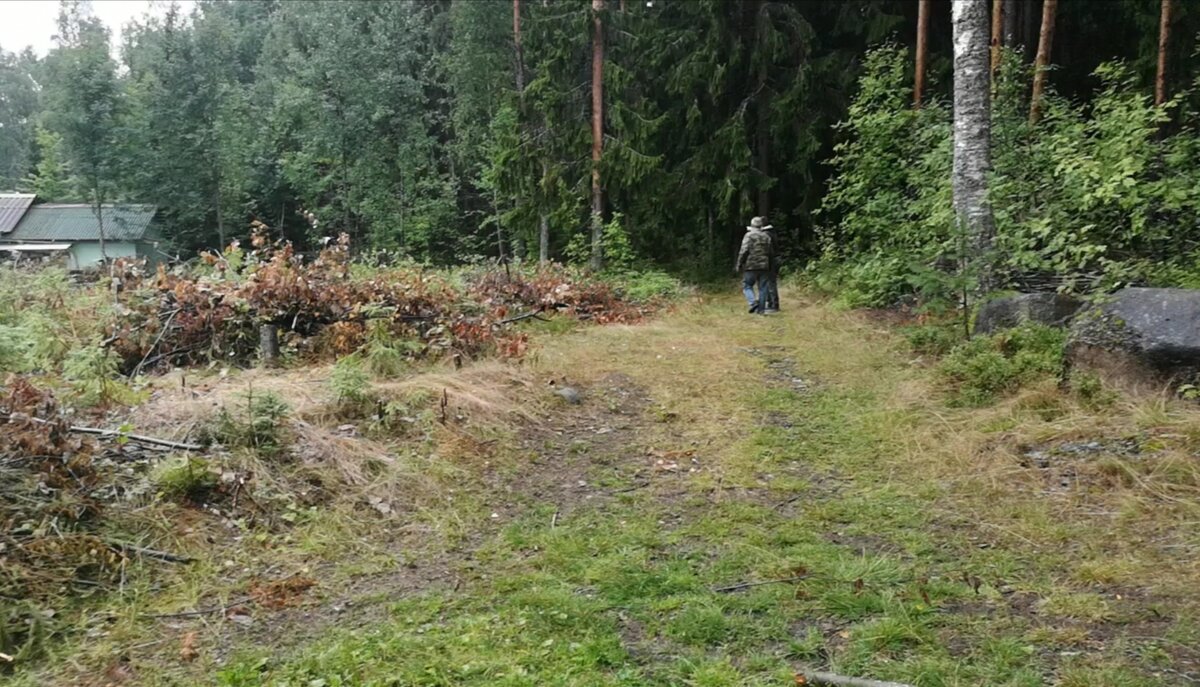 Дорога, протоптанная за много лет