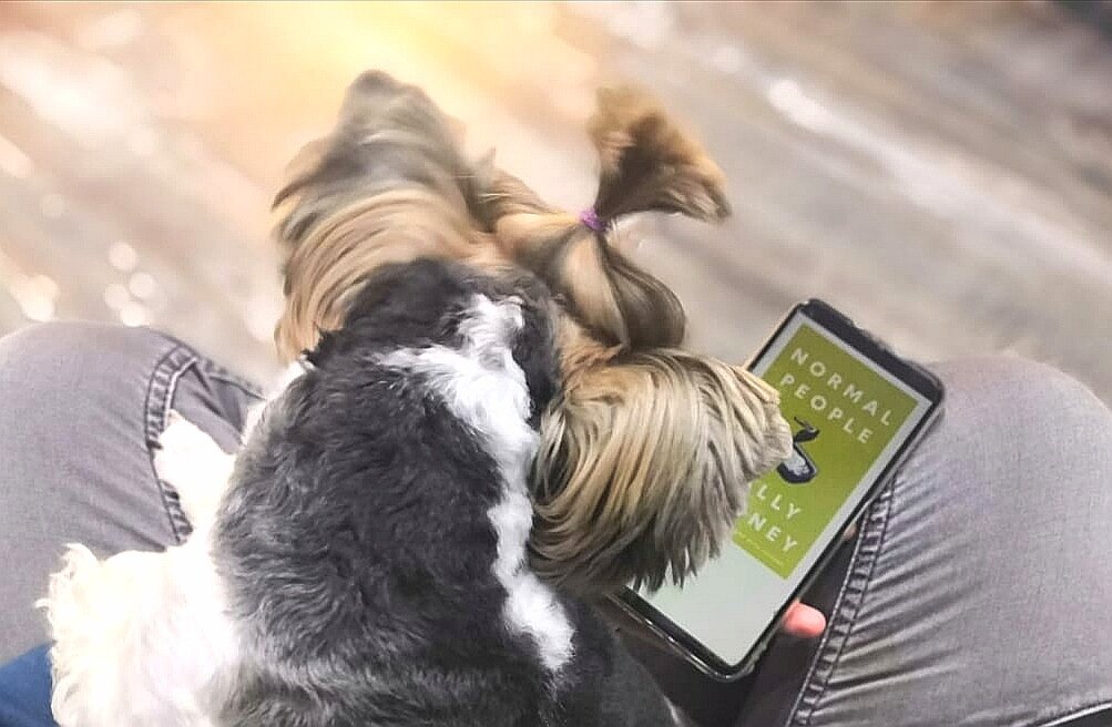 На обложке герои обнимаются в консервной банке, в своем маленьком, закрытом от всех мирке.