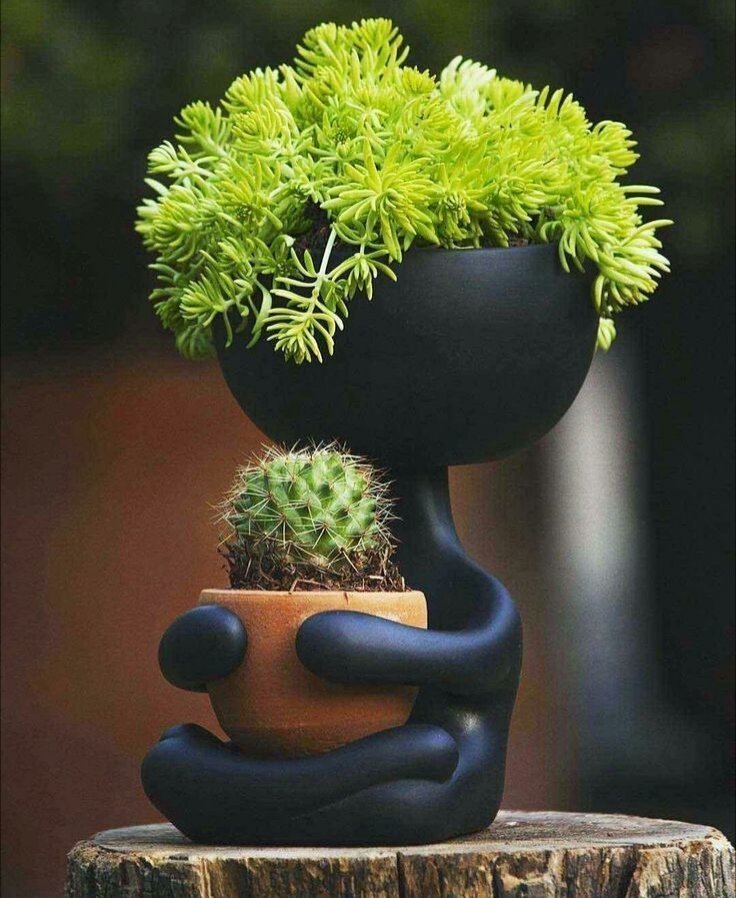 Креативный горшок для цветов