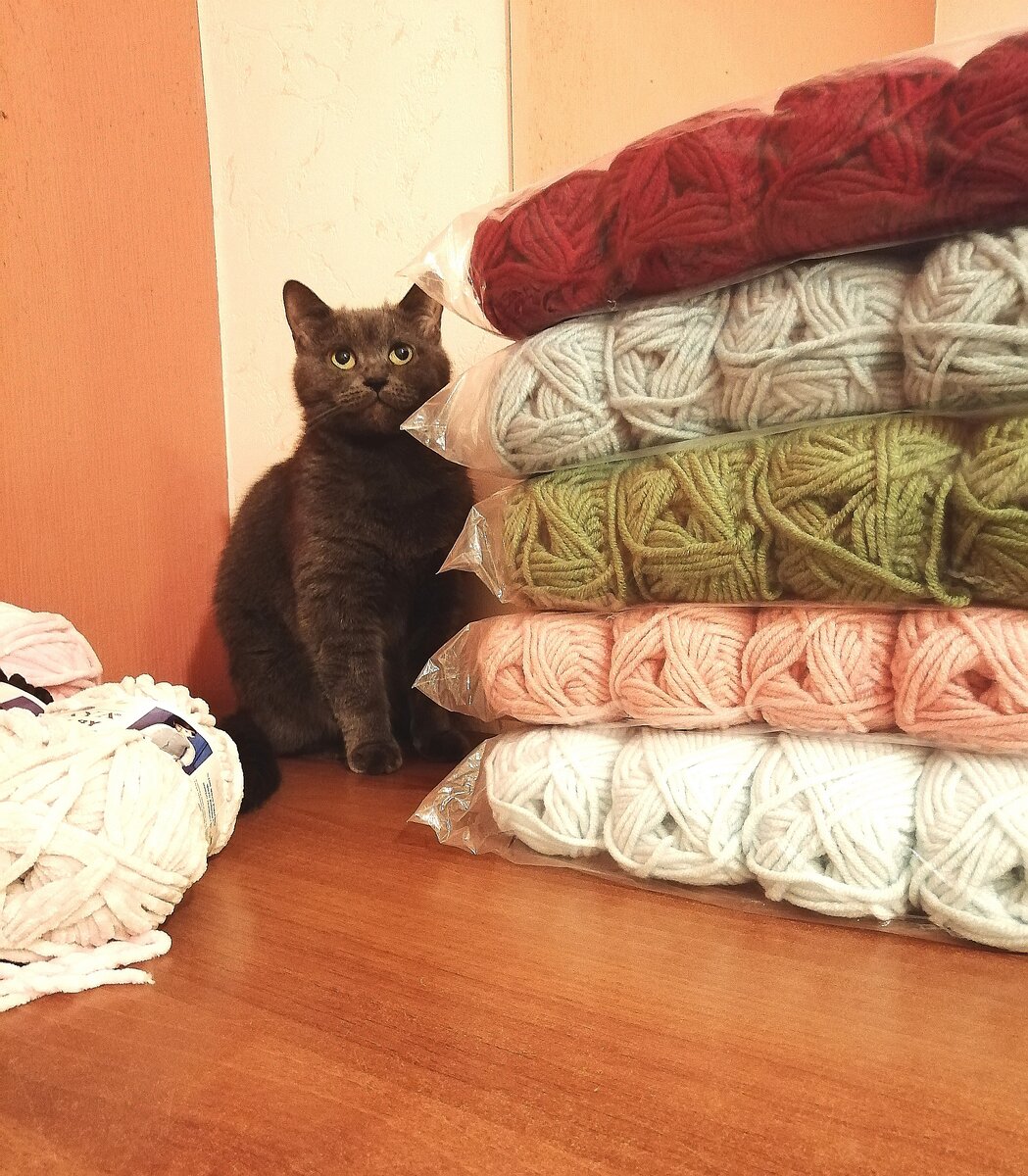 пряжа и Боня