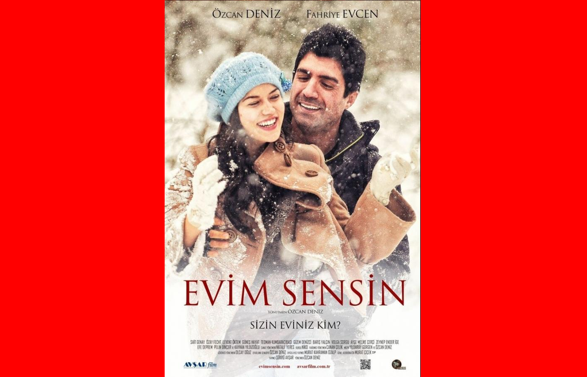 Турецкий фильм Ты мой дом