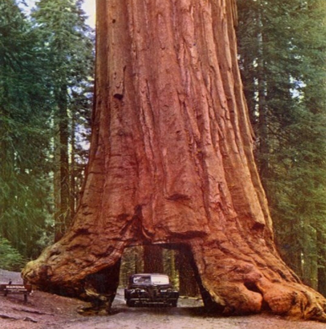 Нац. парк. Фото из свободных источников 