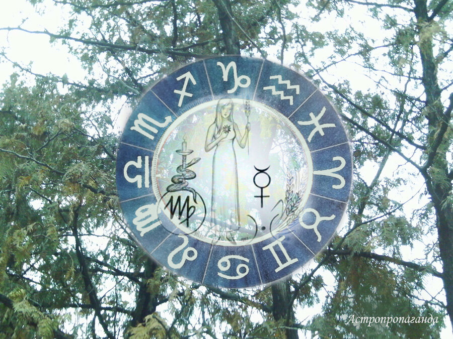 Коллаж Нины Стрелковой.