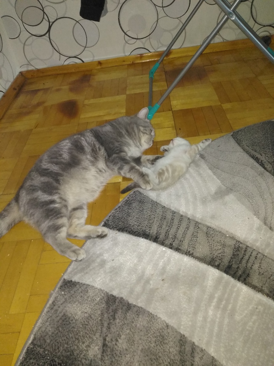 Заботливый Реймонд играет со своей дочкой