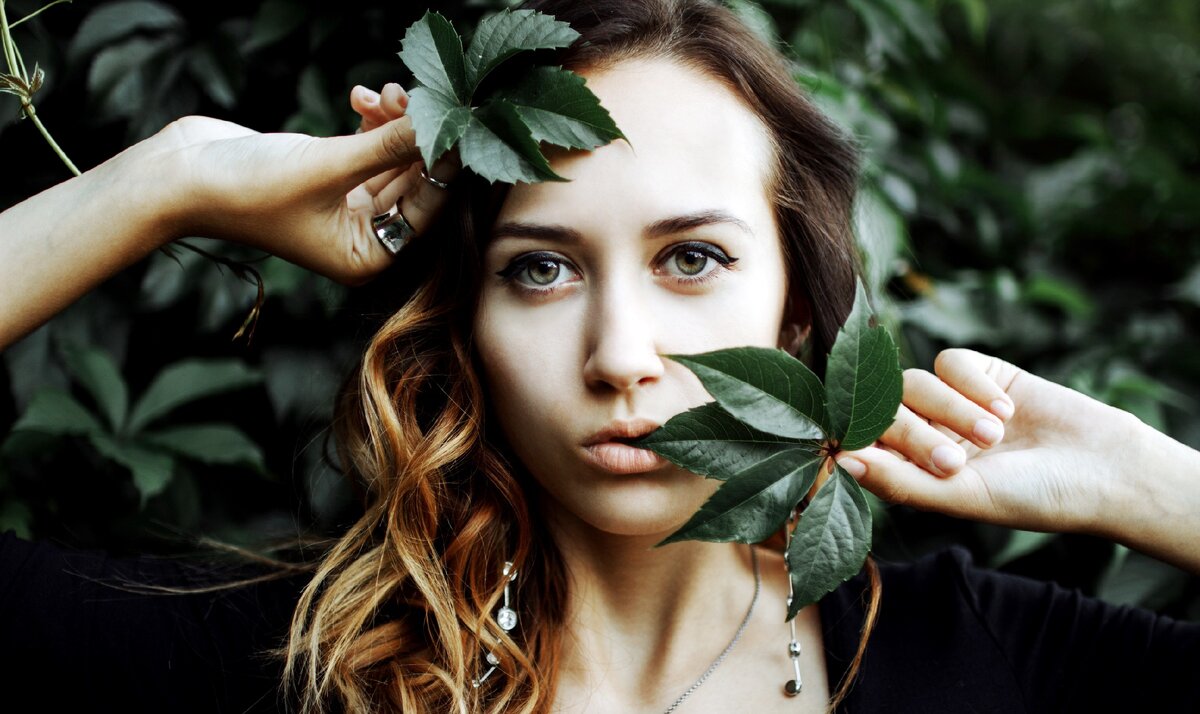 Изображение с сайта https://pixabay.com