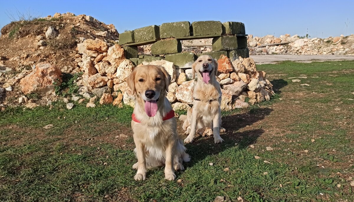 Куба и Ляля - два товарища