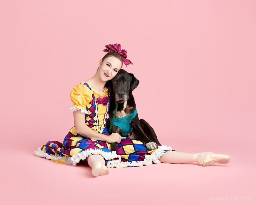 Фото: Instagram.com/dancersanddogs