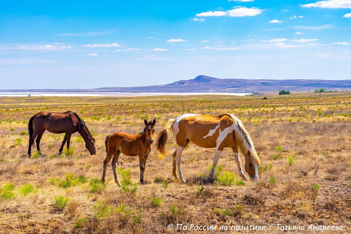 Виды из окна автомобиля