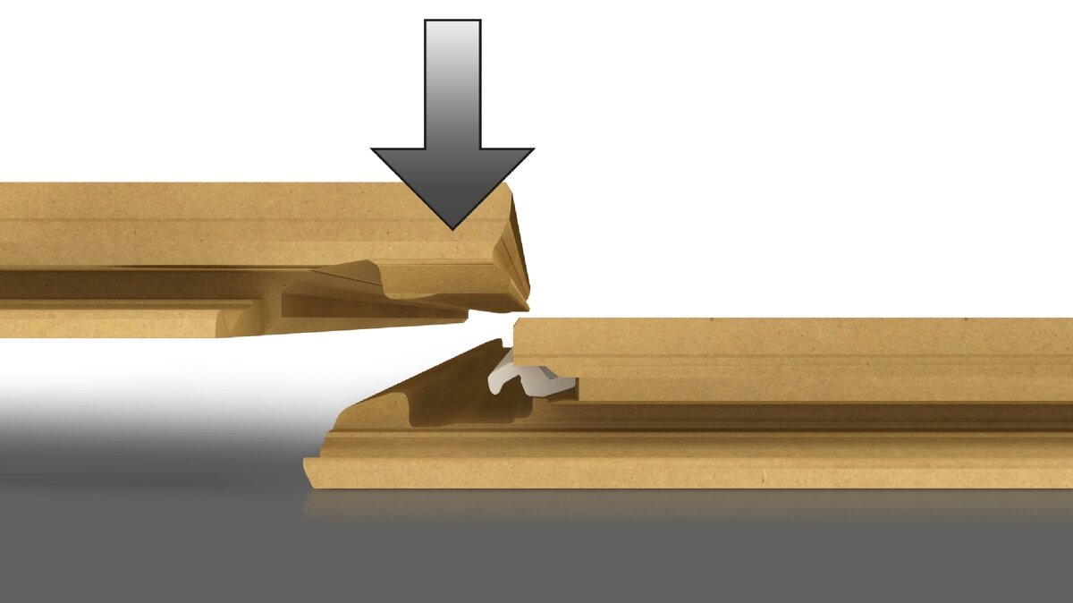                                                     Фото взято с открытых источников 