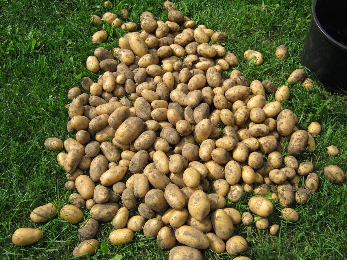 Авторское фото