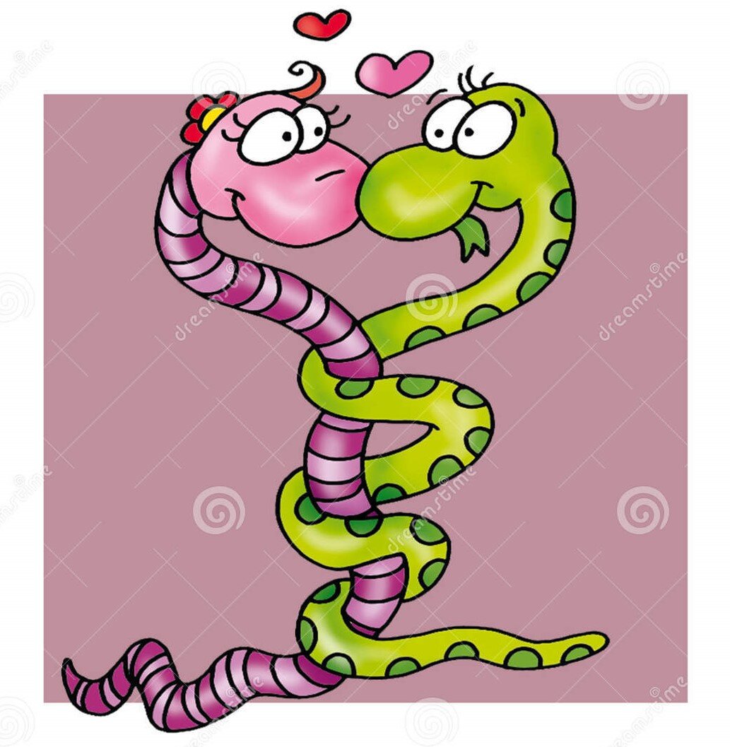 Рисунок из открытых источников интернета