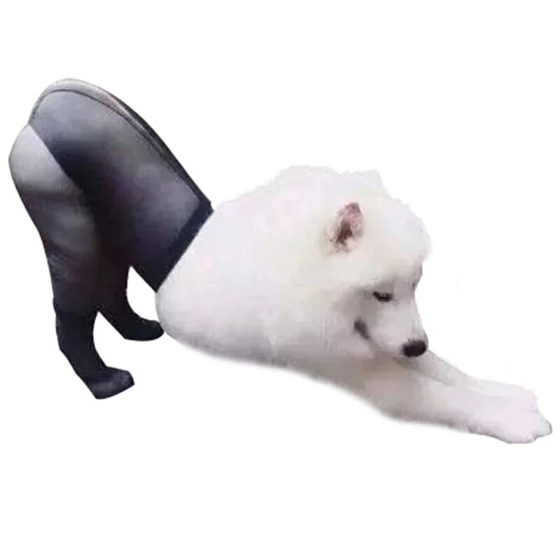 Или собаке йогой в таких удобней заняться)))) 