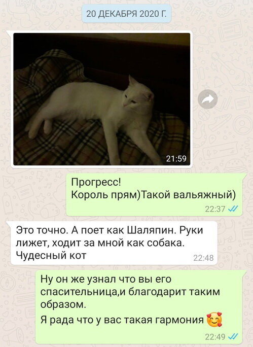 Юные лесби лижут друг дружке