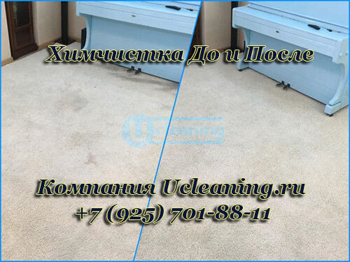 Химчистка ковров в Москве и области