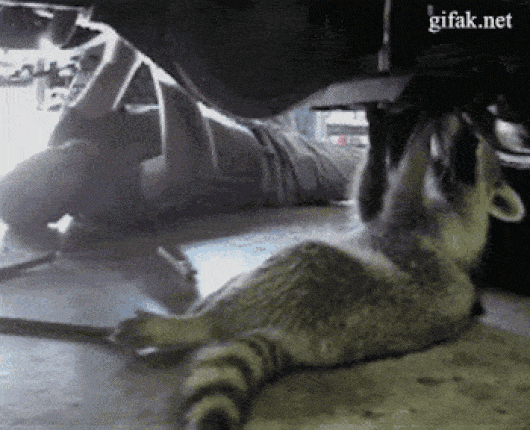 Источник: https://clck.ru/UroiM