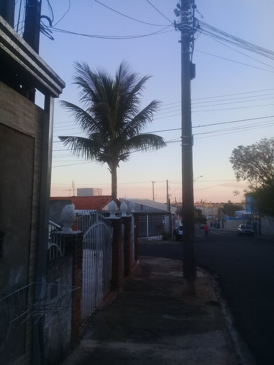 Зимняя Бразилия. Фото автора.