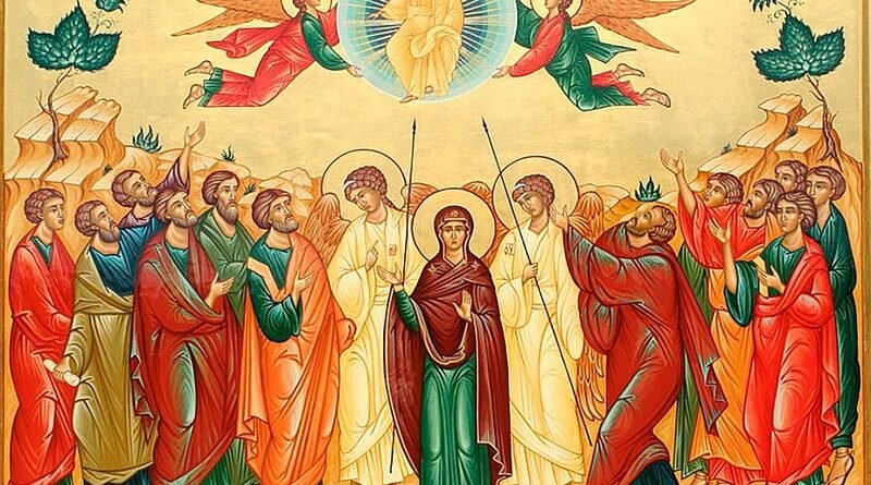 Фото из открытых источников.