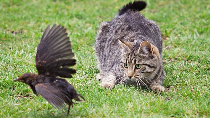 Фото из интернета