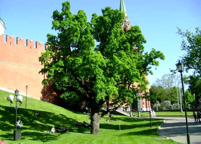 с сайта Kwc-russia.ru 