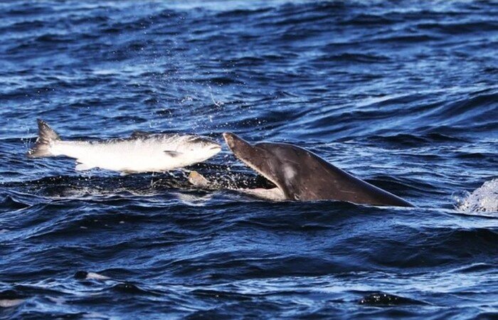 Охота не только еда, но и вода! Из открытых источников...