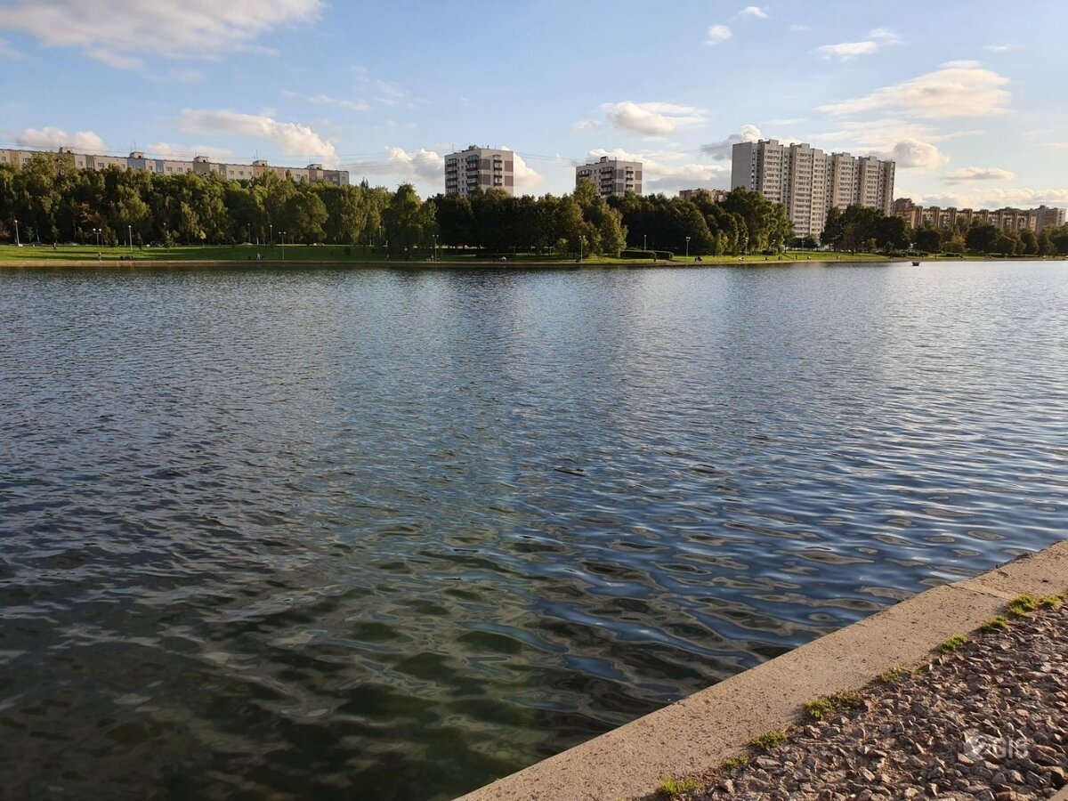 Так когда то было... Гольяновский пруд в парке. Фото из открытых источников.  