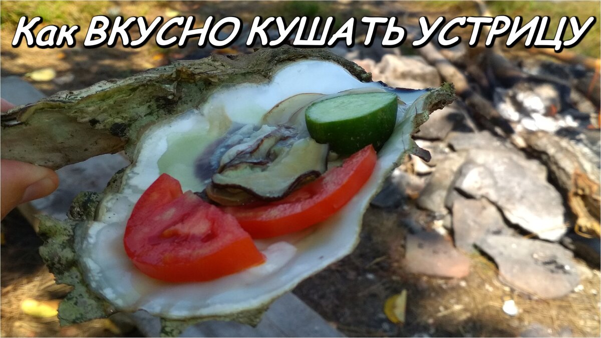 Лучший рецепт приготовленния устрицы