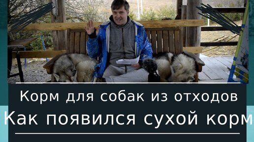 корм для собак из отходов - это удобно и выгодно - история развития сухих кормов для собак и кошек