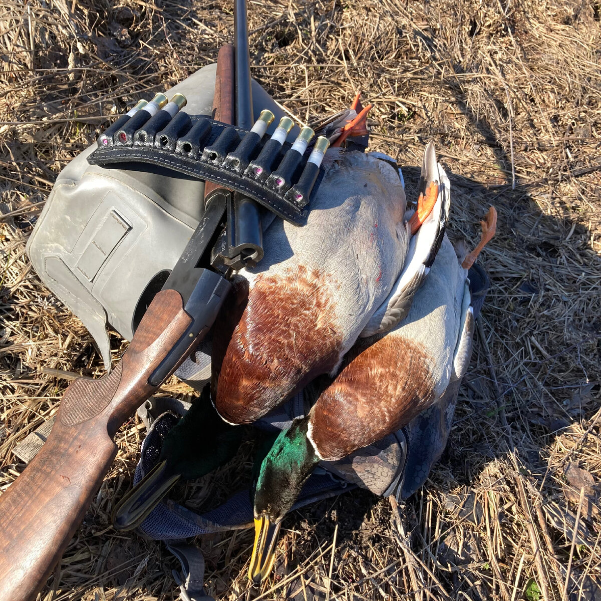 410/76, дробь номер 3 и 5