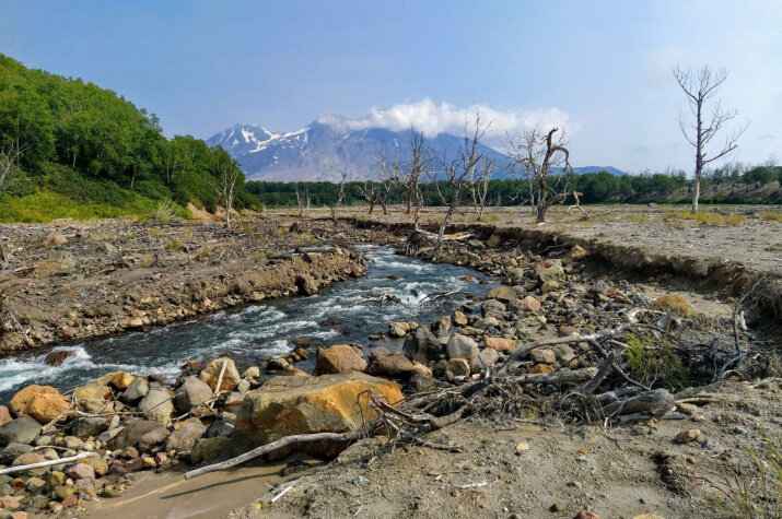 В районе работы экспедиции. Фото: пресс-служба Кроноцкого заповедника
