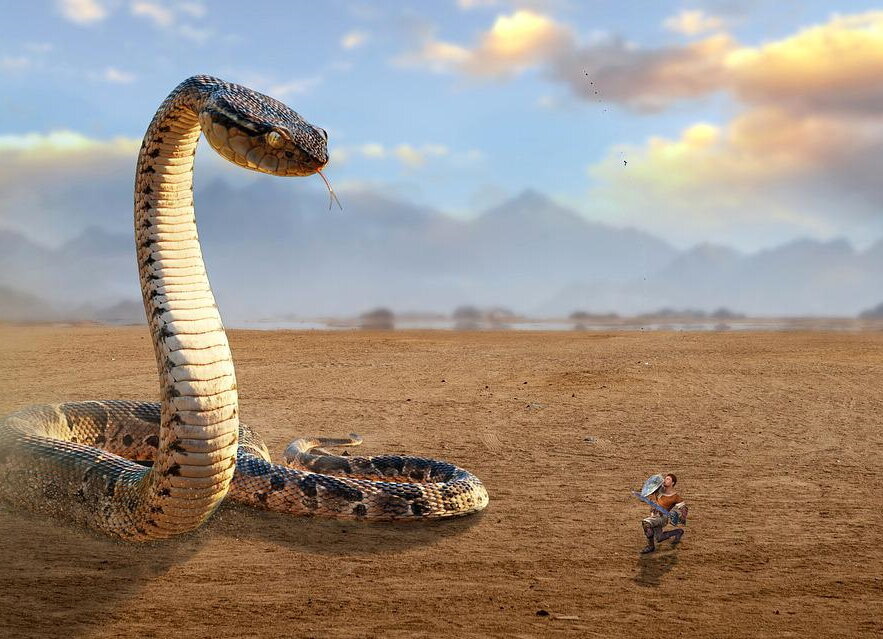 змеи в пустыне