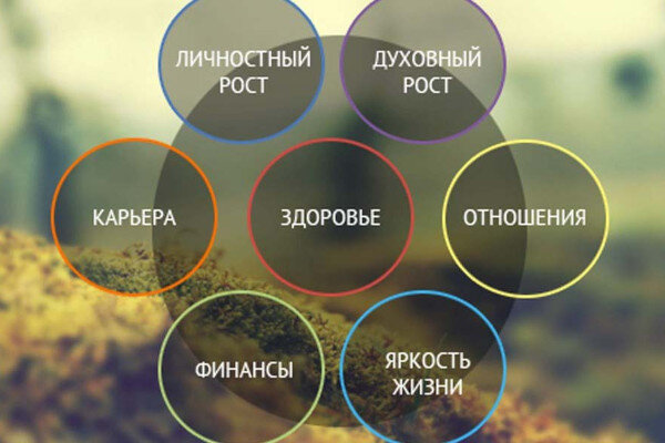Дома гороскопа - инструкция по применению