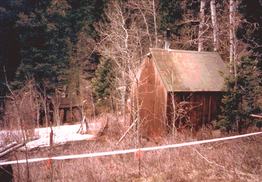 Качиньский был арестован в своем домике недалеко от Линкольна, штат Монтана, 3 апреля 1996 года