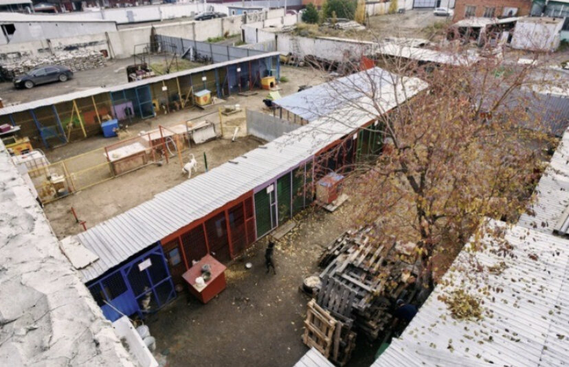 Наша территория 