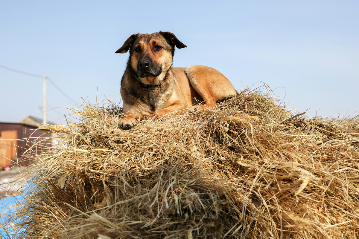 Фото: Юрий Смитюк/ТАСС